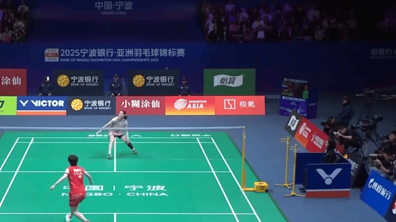 球迷们对琼 球迷们对琼