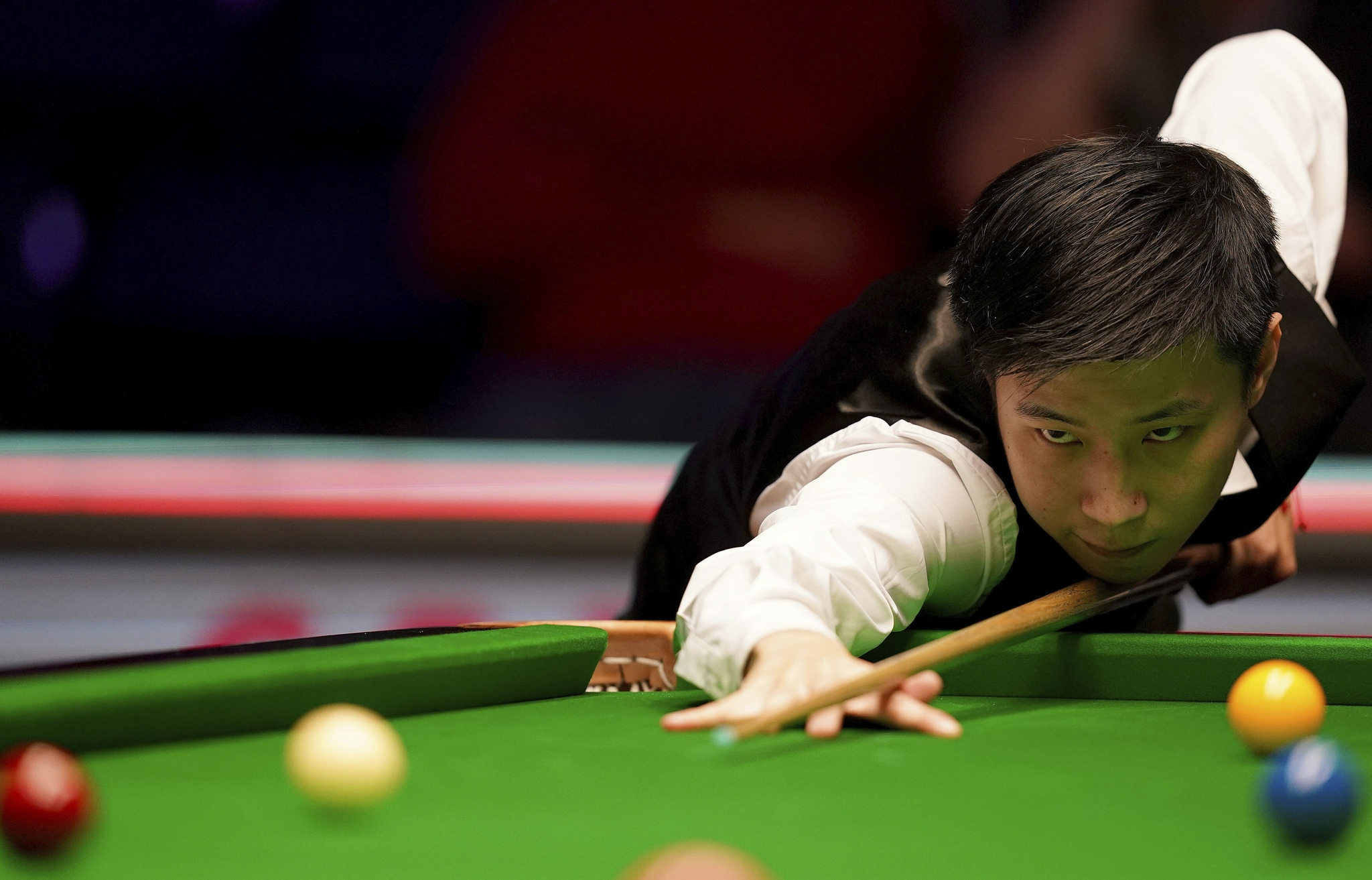 了新的高度 了新的高度